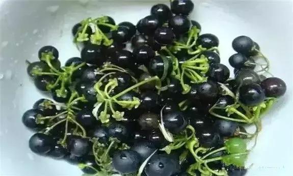 东北版满汉全席,原汁原味的满汉全席