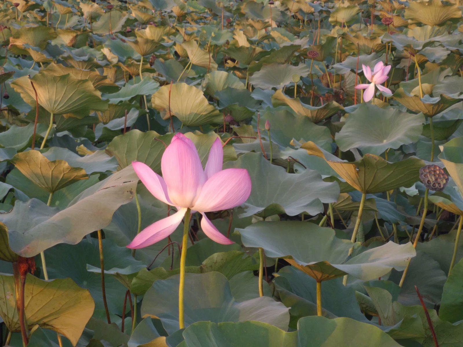 摩托自驾景点附近,蚌埠古迹半日游