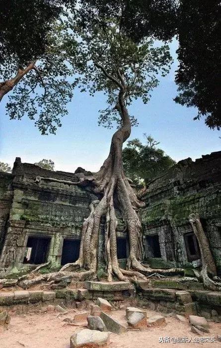 最新世界十大“怪”，最后一个太绝了！