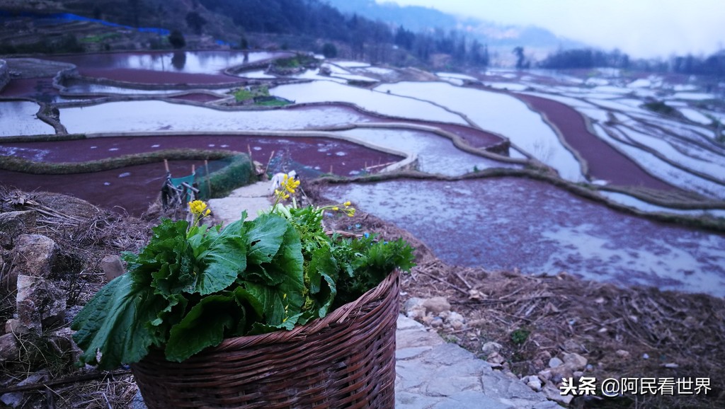 云南普者黑元阳坝美6天旅游攻略,云南建水普者黑旅游路线