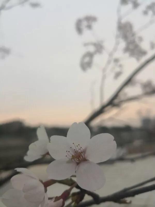 2022年世界手机摄影大赛征稿,手拍世界摄影网