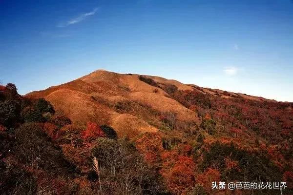 黔东南世外桃源,黔东南春节游玩推荐