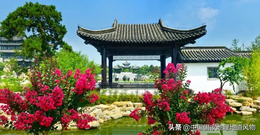 济南青岛临沂,青岛和临沂差距有多大