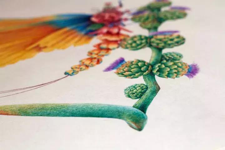 小央美钢笔画视频,极品五大钢笔画简直美爆