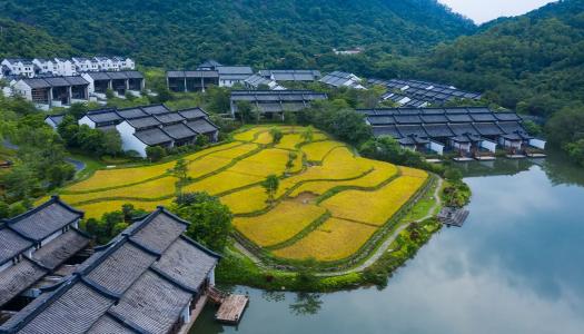 惠州宝藏级的度假村，水墨宋朝园林，乘船入住，瀑布，稻田，泳池