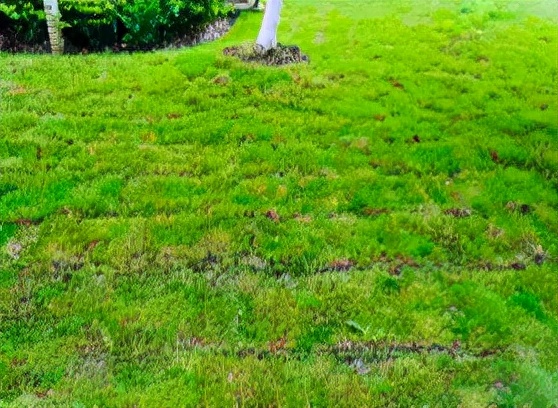 昆山绿地21城周边规划,昆山绿地第21城平面图