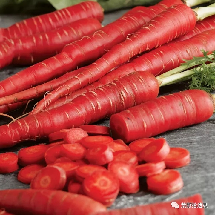 你知道胡萝卜是怎么来的吗,胡萝卜的演化史