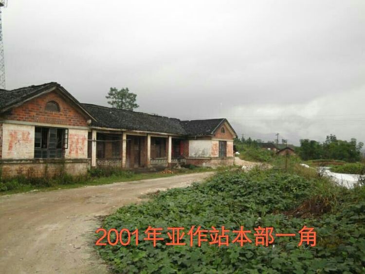 难以释怀的知青情结,60年代的知青情结