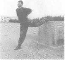 警用防暴棍对战短刀,警用棍式防暴器