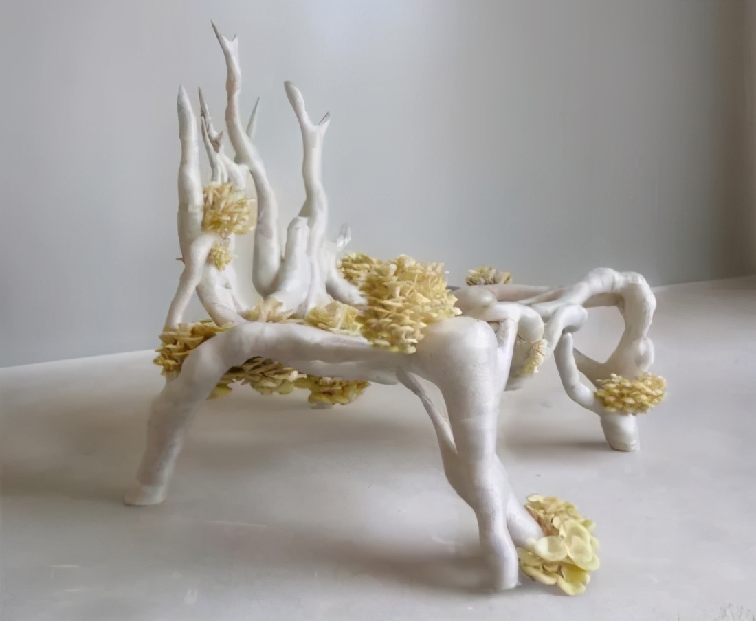 明明是新衣服，怎么上面长了蘑菇？荷兰人的时尚让人看不懂