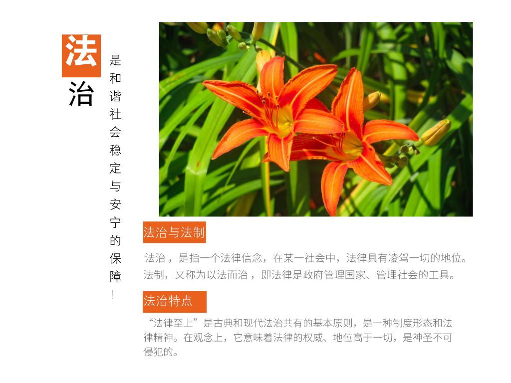 校园法制宣传教育,校园法制教育宣传培训内容