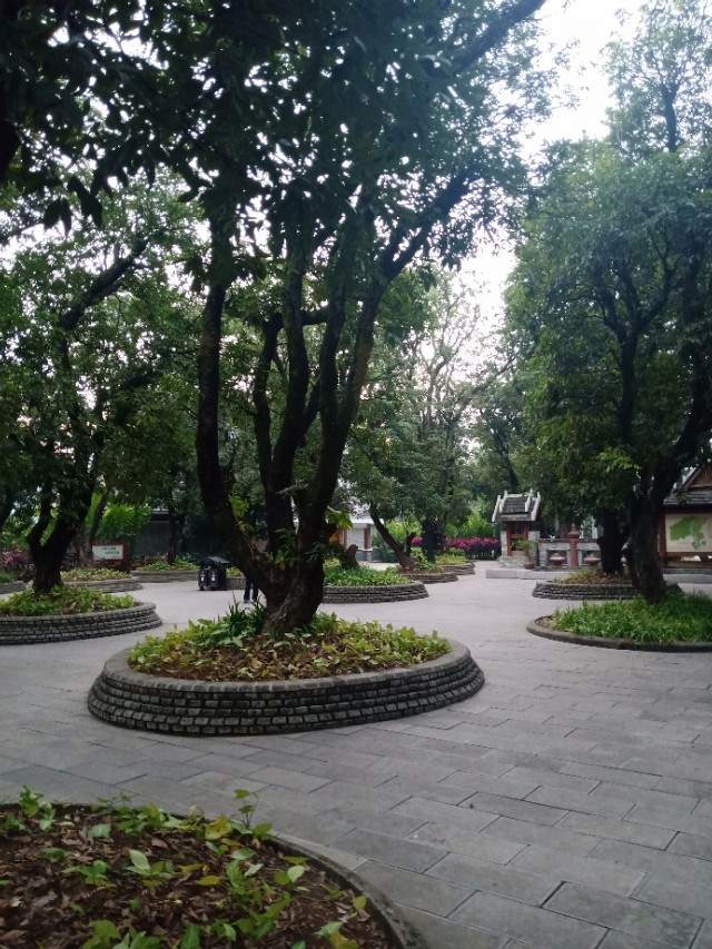 炒股第二十七篇,聊聊炒股的那些趣事