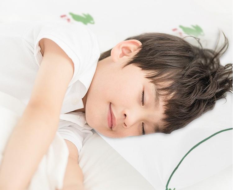 泰国乳胶枕官方旗舰店 (泰国乳胶枕三大品牌与价格)