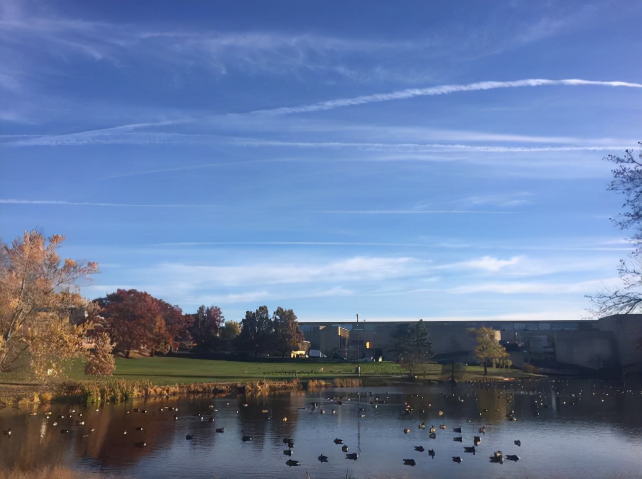 在波士顿大学（BostonUniversity）读书是一种怎样的体验？