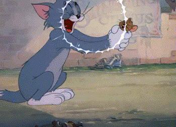 二十年后的汤姆猫,许多年后汤姆猫