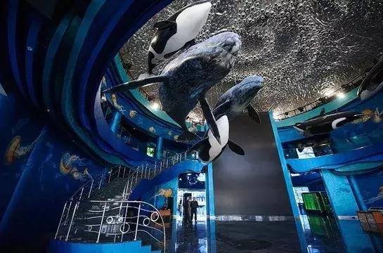 娆ф床鐪熺殑绂绘垜浠緢杩滃悧,娆ф床閭ｄ簺琚拷鐣ョ殑缇庝附鍩庡競