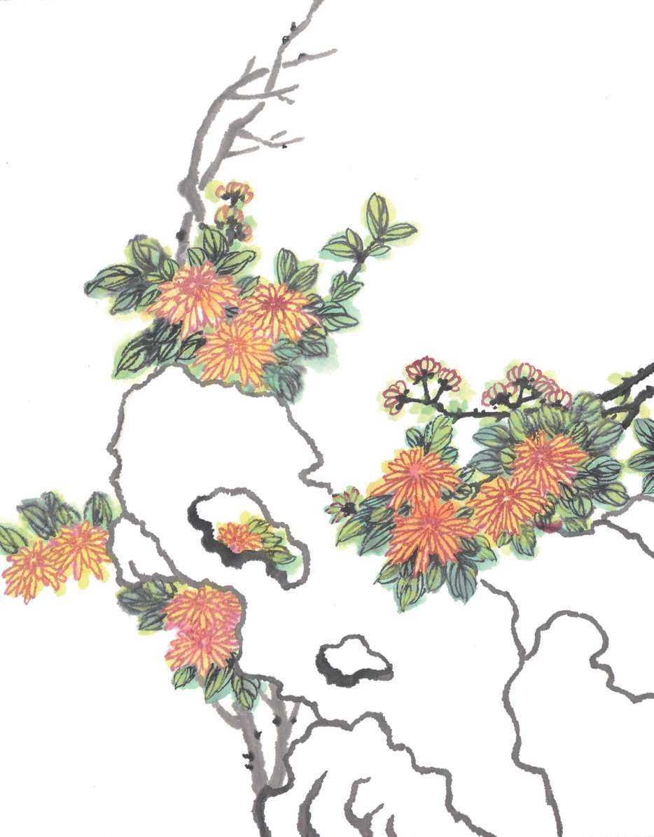 梅兰竹菊国画菊花初学者怎么用笔,国画菊花的画法和技巧