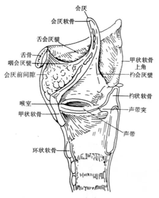 喉部病变做核磁还是ct,耳鼻喉科常见病影像诊断