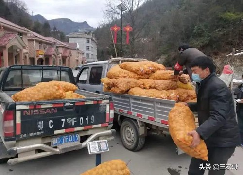 回农村做什么项目赚钱,当下农村生意最赚钱的项目