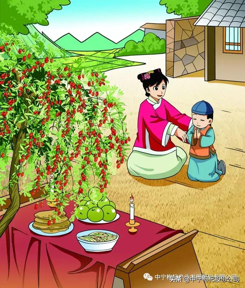 古代枸杞怎么用,古人枸杞子的用法