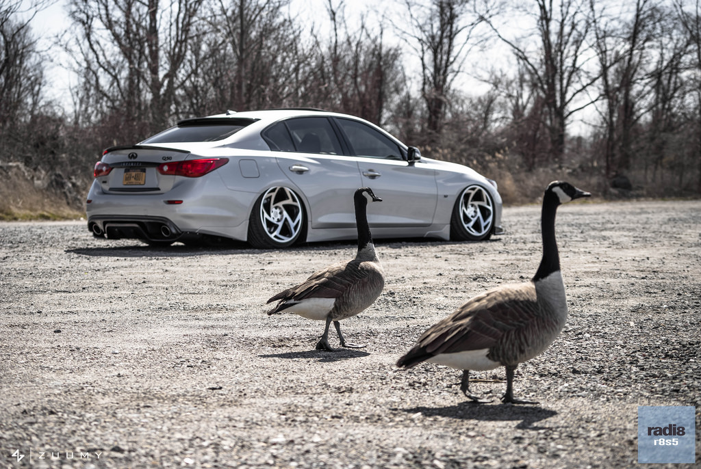 TheSarcasticNinja”嘴贱的忍者镖来自英国radi8轮毂