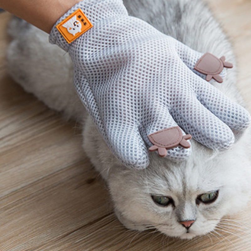 屋里毛毛灰尘很多怎么处理,为什么屋子里灰尘毛絮多