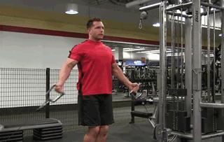 在健身房怎么练出胸肌,朝阳健身房胸肌腹肌训练器械