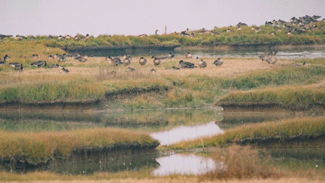 武汉11月打卡景点和网红地,武汉50个值得打卡的地方