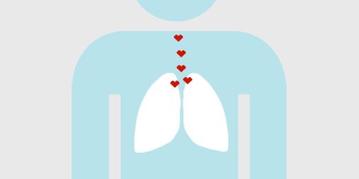 不节食减肥运动快速燃脂,不运动不反弹的健康减肥