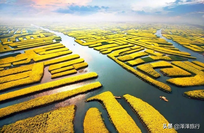 中国最美油菜花海汉中,中国最美油菜花海排名