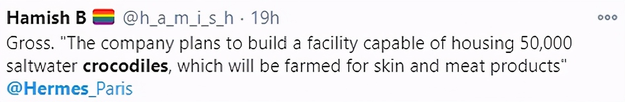 1亿只鳄鱼养殖场,做一个真正的鳄鱼养殖场