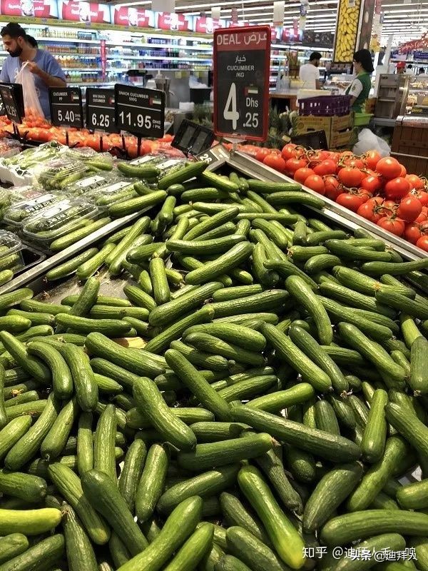 迪拜物价有多高,迪拜物价咋样的