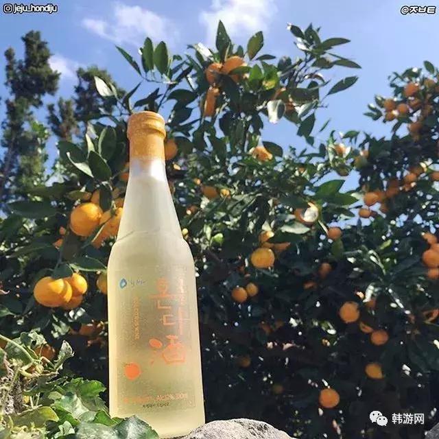 去济州岛一定要买返程票吗,去济州岛一定得去免税店吗