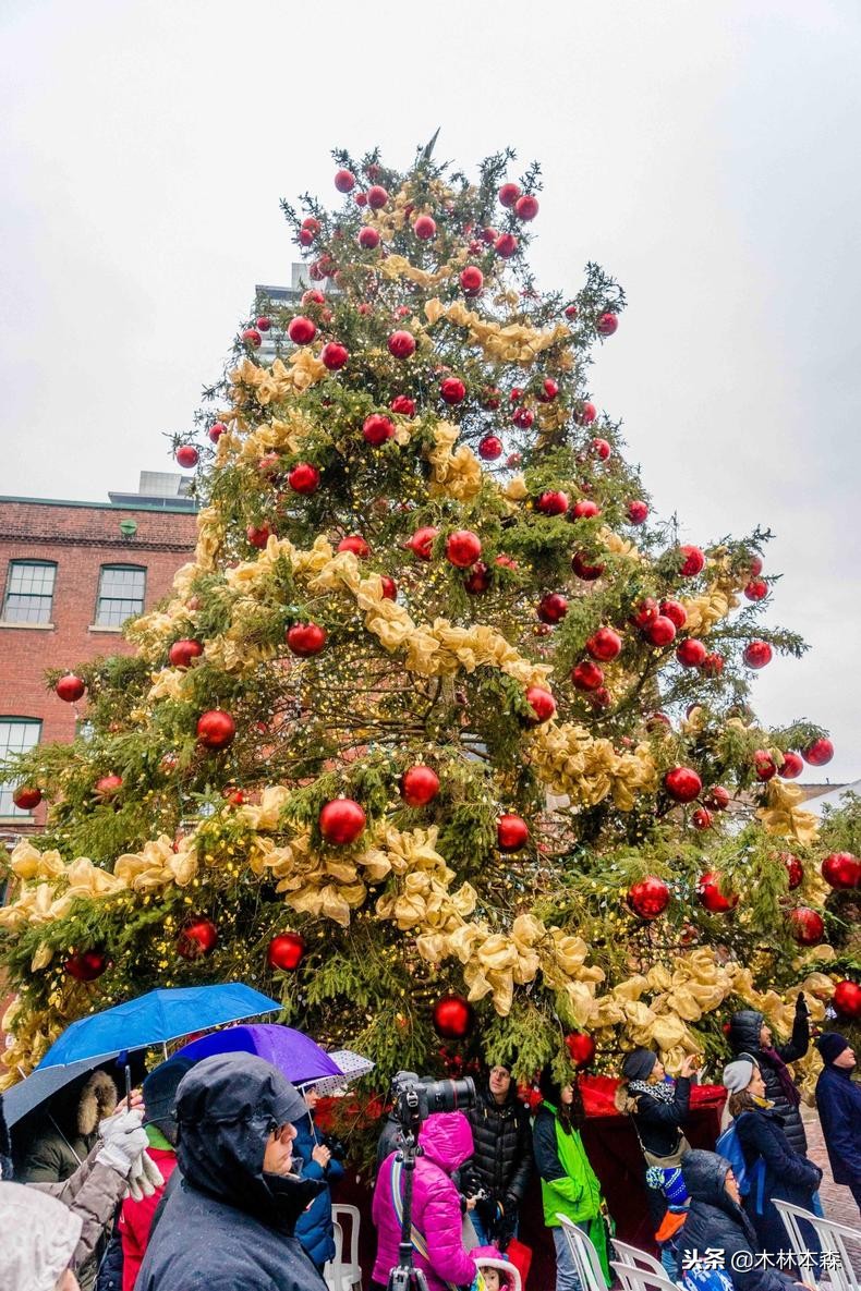 加拿大旅行日记,多伦多最佳生活日记