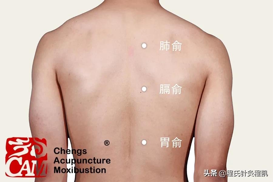 程凯养生说满脸都是斑,程凯养生说肝