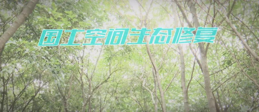 沟壑纵横变绿水青山，滇池流域采矿区如今绿树成荫，究竟是如何做到的？