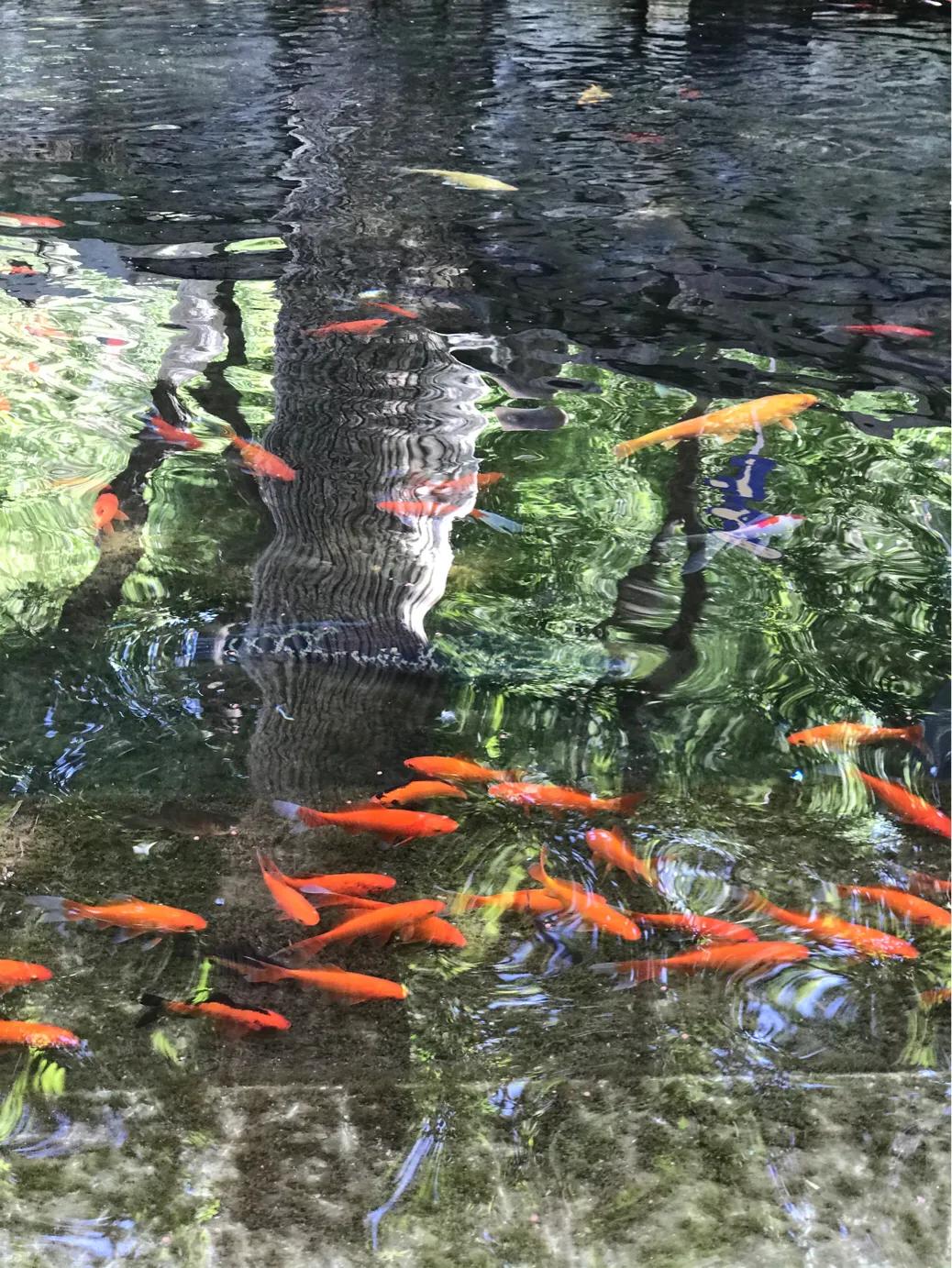 水磨沟公园今天开吗,水磨沟公园别墅