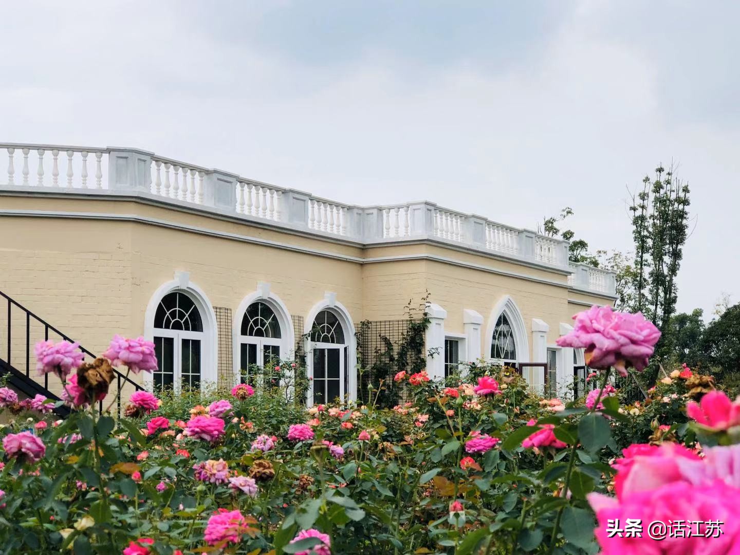 南京赏花的地方有哪里,南京赏花踏青