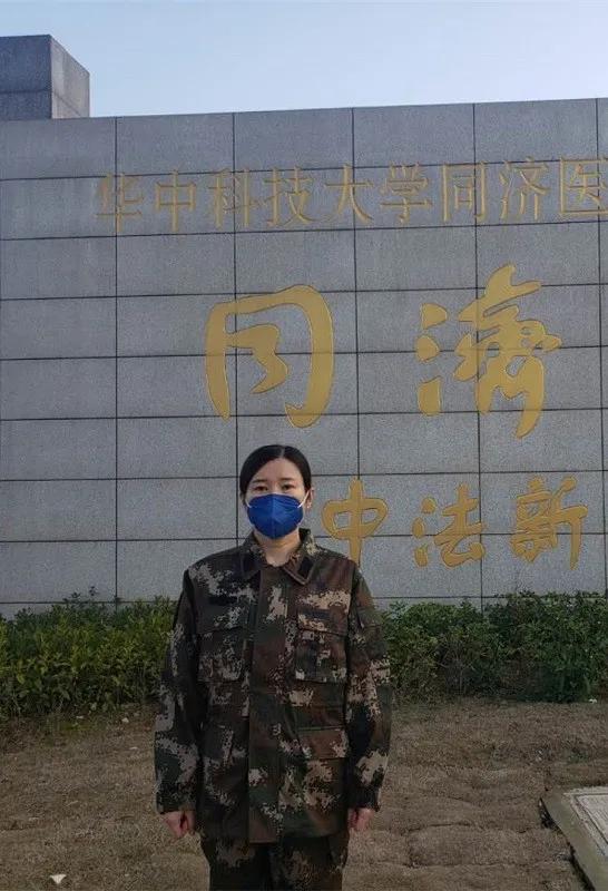 美丽迎春花开了,迎春花盛开的绝美春日盛景