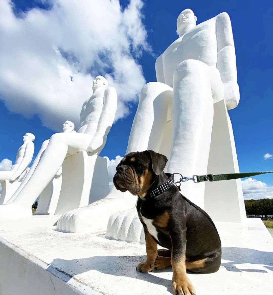 涔愰珮鐨勮捣婧愪笌鍙戝睍,鍏ㄤ笘鐣岀殑涔愰珮