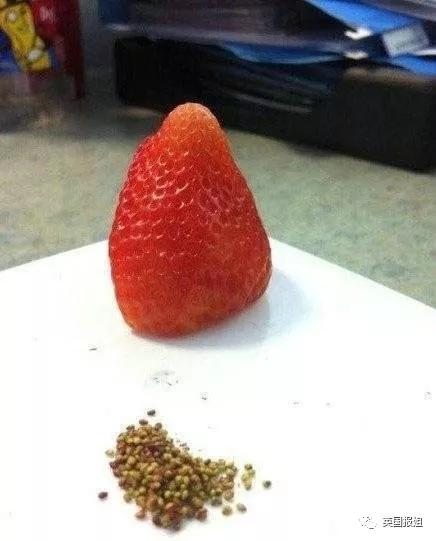 宅家无聊自娱自乐想跳就跳就好,宅家无聊自娱自乐开心一刻