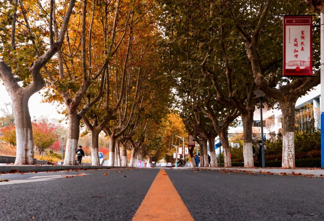 醉美大工秋|读书不觉已秋深，____________