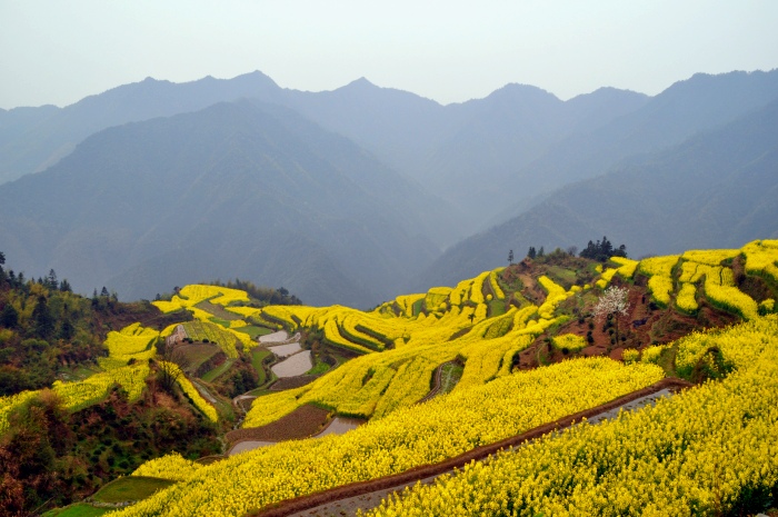 皖南旅游攻略最值得去的地方,皖南小众又绝美的地方