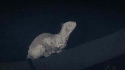 豆瓣netflix电影,bbc地球奇观纪录片