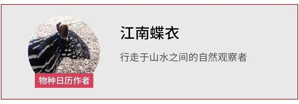 你吃的菱，是2角、4角还是0角？