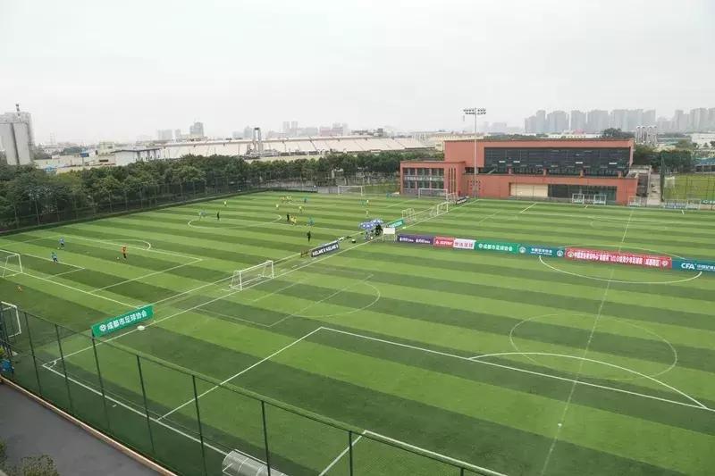 世警会真的来了吗,世警会即将举行完整版