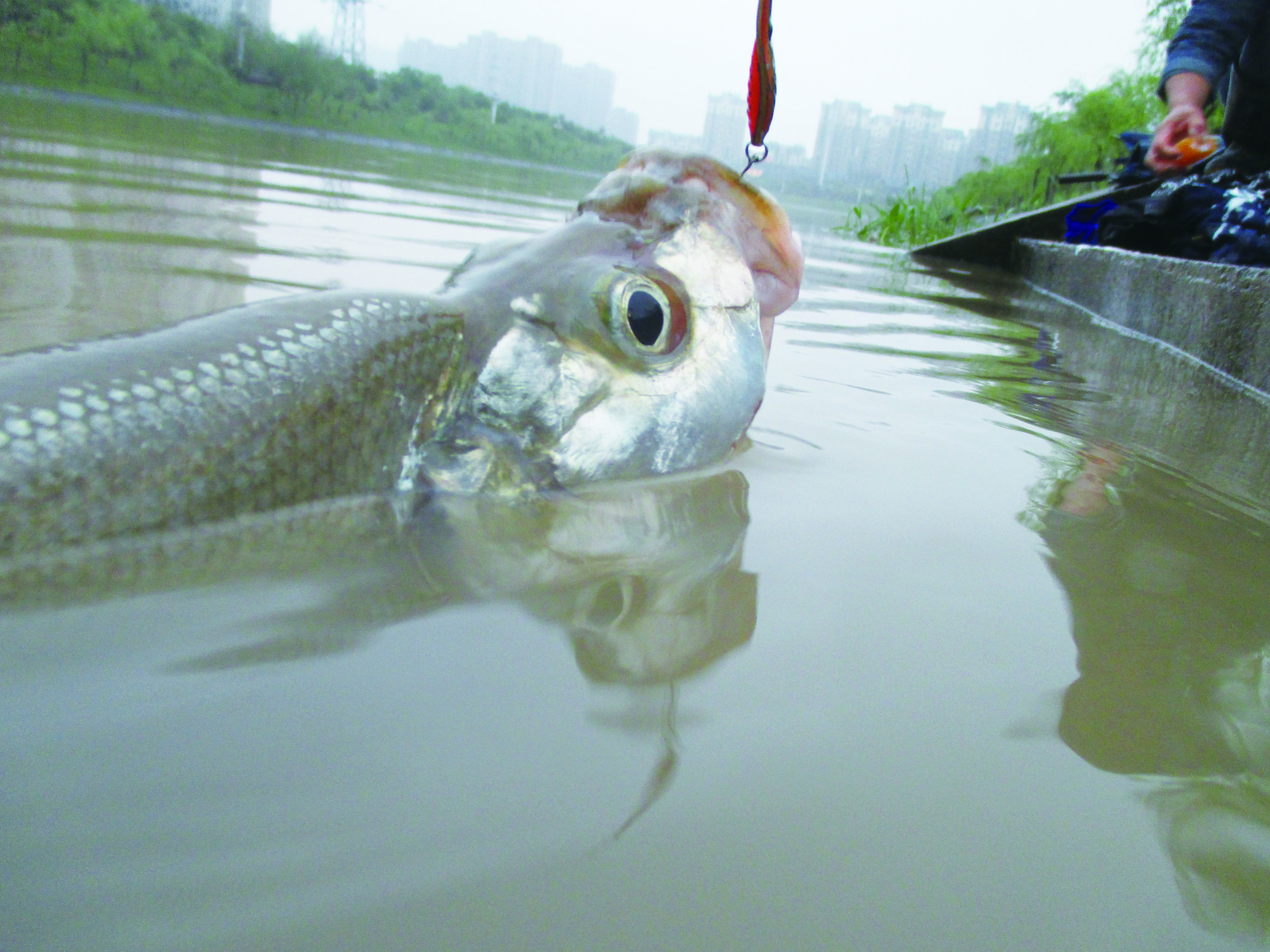 玩路亚第一天上鱼,玩路亚几年的变化
