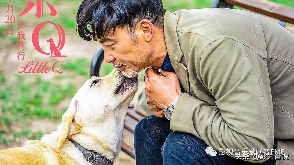 《小Q》，一场温暖耳朵的音乐之旅