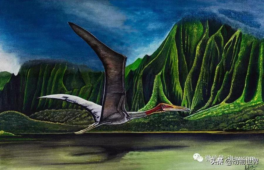 哈特斯哥翼龙比风神翼龙大吗,哈特兹哥翼龙复原图