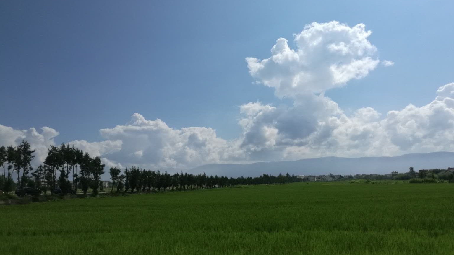 洱海海东租车店铺,环洱海游租车